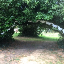 passage-sous-les-arbres-mariage-chateau-lavalade-tarn-et-garonne