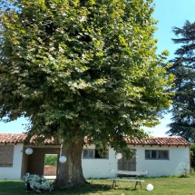 deco-sous-arbre-chateau-lavalade-tarn-et-garonne